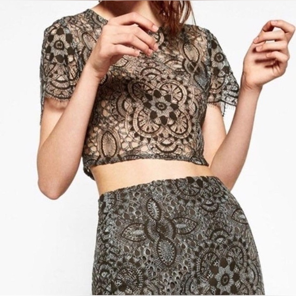 Zara Women's Dark Green Lace Patterned Sheer Crop top